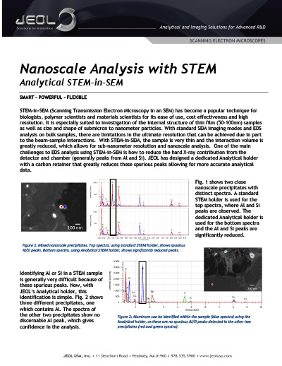 Nanoscale analysis with STEM